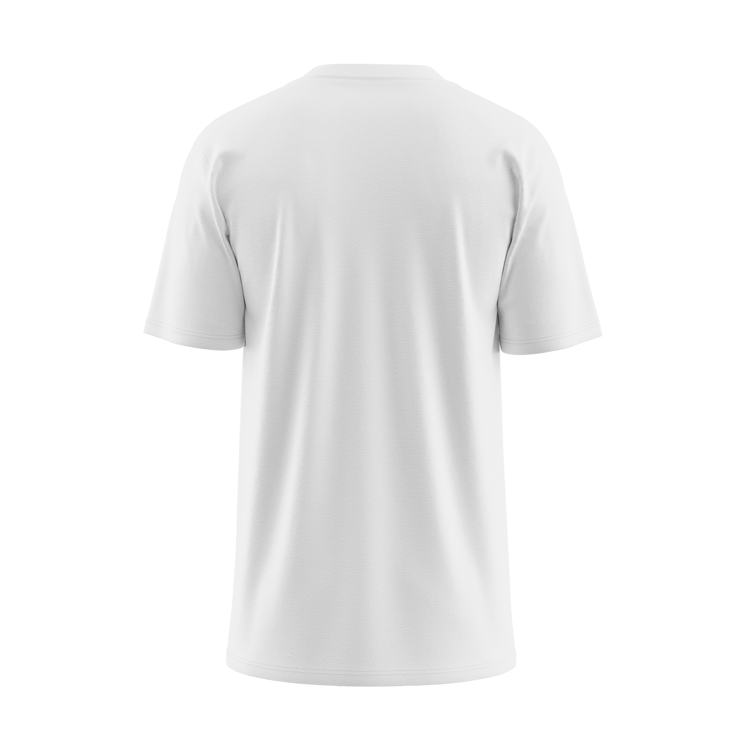 Mens Vneck Tee 2
